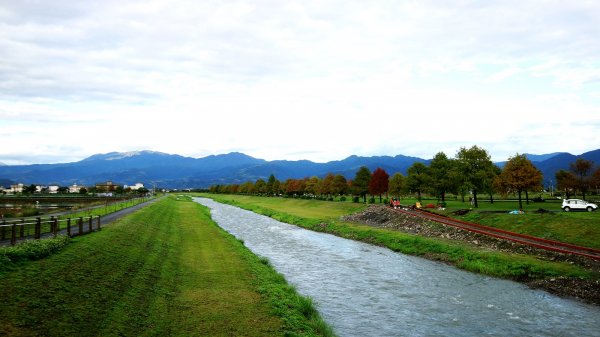 山光水色～蘭陽落羽松尋奇483150