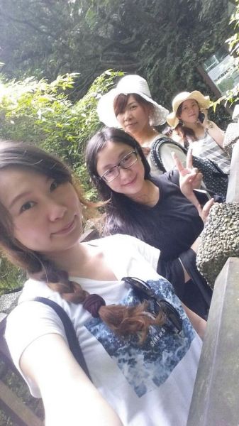 擎天崗環行步道294005