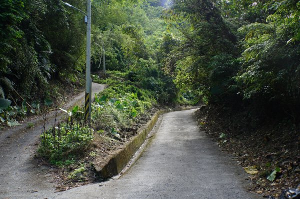 台中 和平 雪山坑山2925058