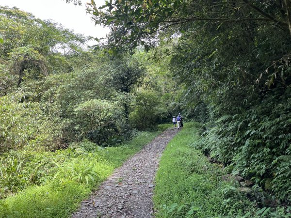 2025_0713 松羅步道2836706