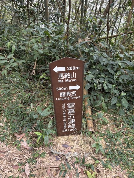 20251024雲嘉五連峰+碧湖山2924310