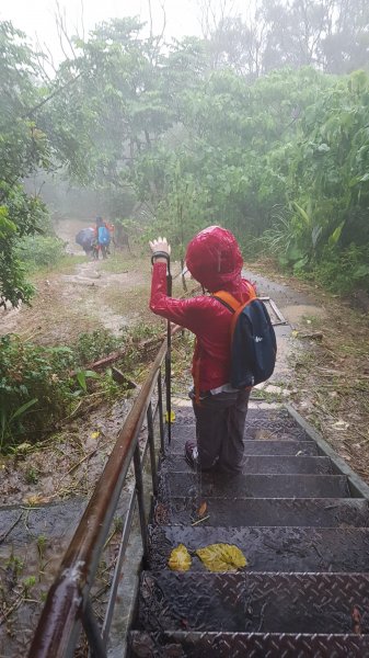 難得的登山體驗宛如明天過後441184