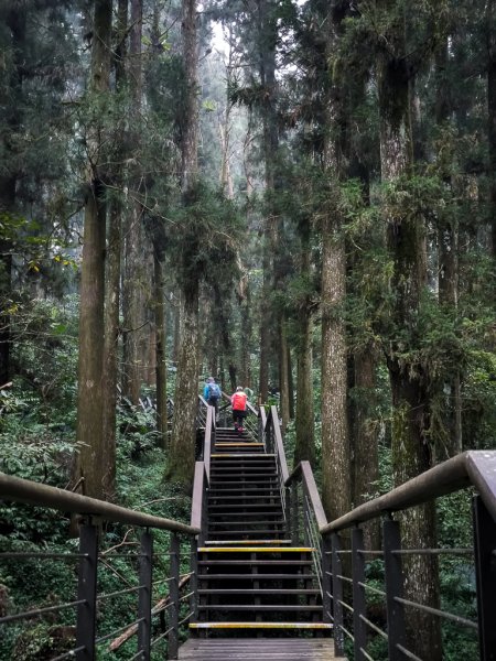 2025-09-14 奮起湖2887445