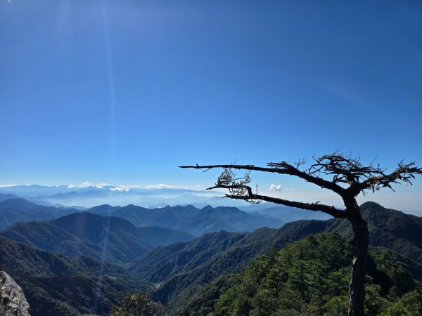 沒雲海只有藍天白雲的鳶嘴山2663245