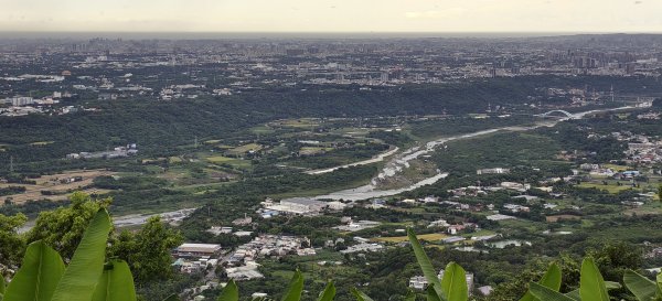 2025/07/19-大艽芎古道上溪洲山O型2841558