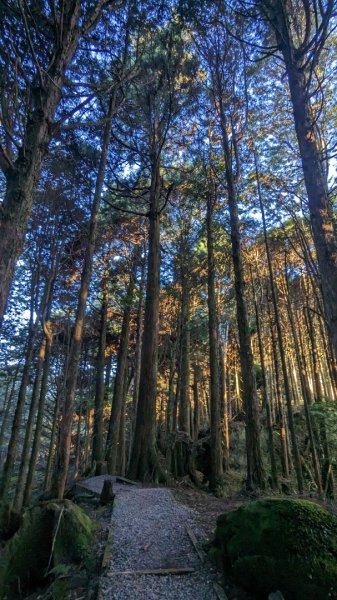 大塔山 塔山步道 遊客中心小7來回2165687