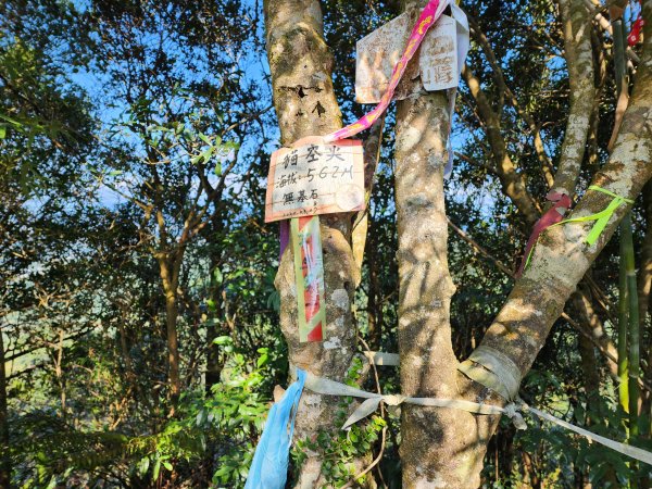 20240114指南宮站經猴山岳二格山鵝角格山至貓空站2430822