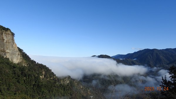 馬那邦山/細道邦道雲海&觀音圈 #黑雞  #花嘴鴨 12/242385581