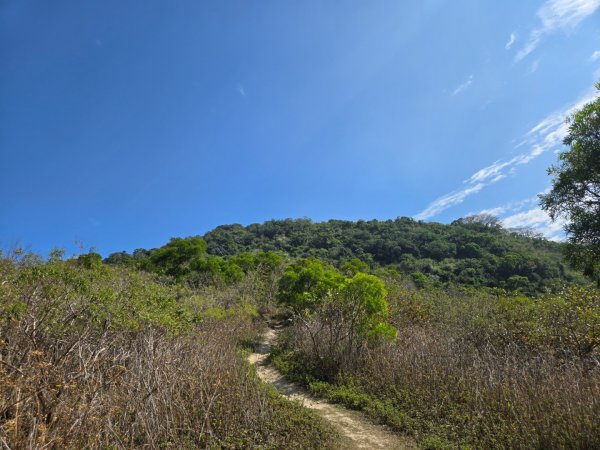 大山母山（小百岳）3007461