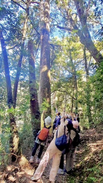 漫遊大雪山森林 訪尋雪山大小神木 快閃天池2922762