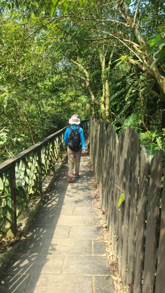 2025-0310臺北大縱走第七段2737282