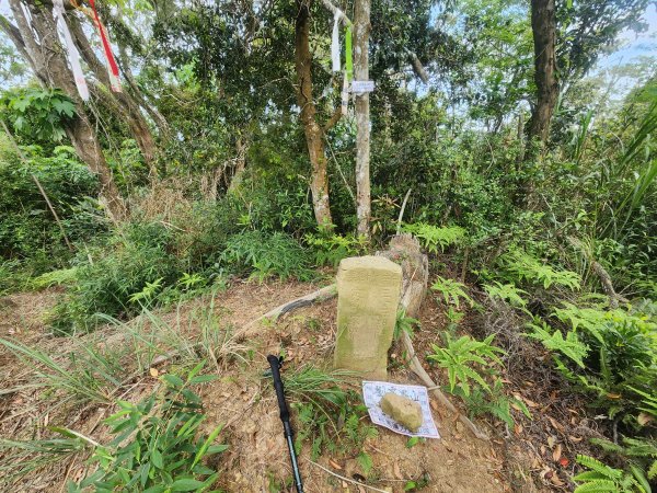 20250419蕩跋山劉家界山老社寮山新富山2936222