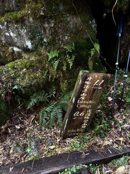 20250110 庫哈諾辛山(進涇橋登山口)2686247