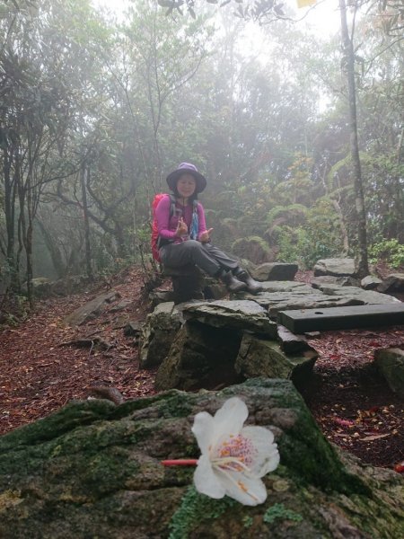 橫嶺山、鳶嘴山O 走1660942