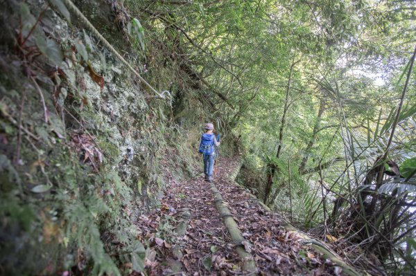 闊瀨古道-沿北勢溪谷而行的夏末之旅（淡蘭古道）2287657