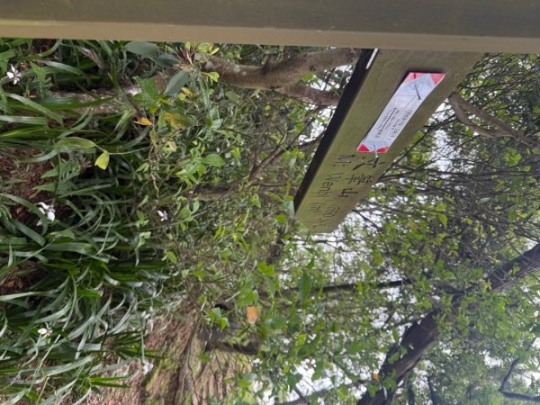 偷吃步之台北天際線第十段2777825