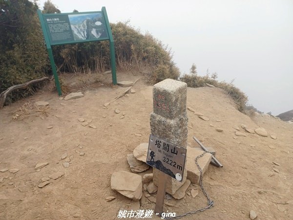 【高雄桃源】朝聖壯闊山景之南橫三星。 編號72百岳~塔關山登山步道2096646