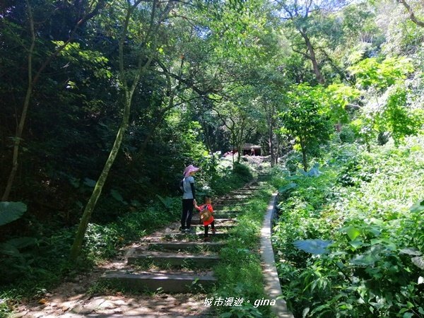 【彰化。社頭】四歲娃也能走的步道。 清水岩步道群~18彎古道