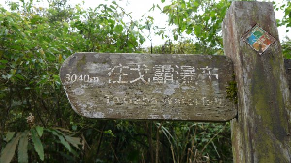 九寮溪自然步道登山健行趣(步道)1557461