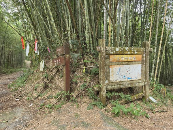 小百岳No.50⛰集集大山3120453