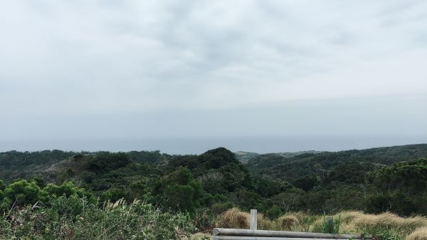 社頂自然公園步道268890