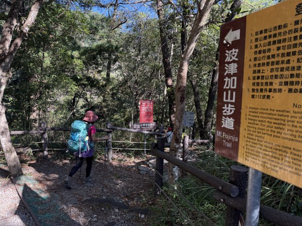 波津加山 202509142893367