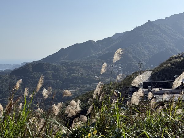 2025/01/20 金瓜石 基隆山 茶壺山2894031