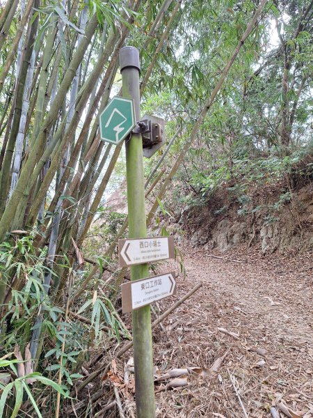 烏山嶺水利古道+鳥子嶺O型2967441