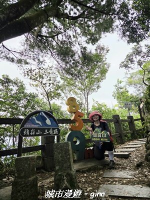【台中北屯】大坑四號步道x頭嵙山3090947
