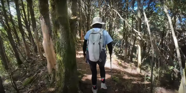 塔塔加五連峰2831428