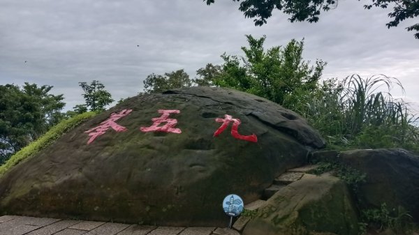 信義區虎山溪步道-岩刻佛像岩下路-四獸山步道-拇指山-南港山-九五峰-麗山橋口步道3076155