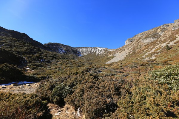 雪山‧甘木林山1250021