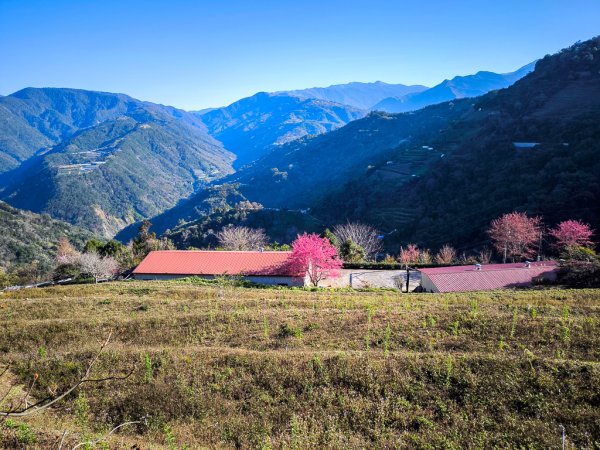 2025-02-16 巴蜈縱走2714311