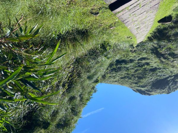 新北：草嶺古道2746967