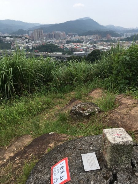 小南港山698685