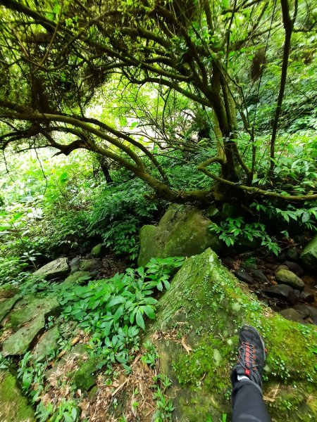 20230722 頂山石梯嶺縱走坪頂古圳，聖人瀑布2227231