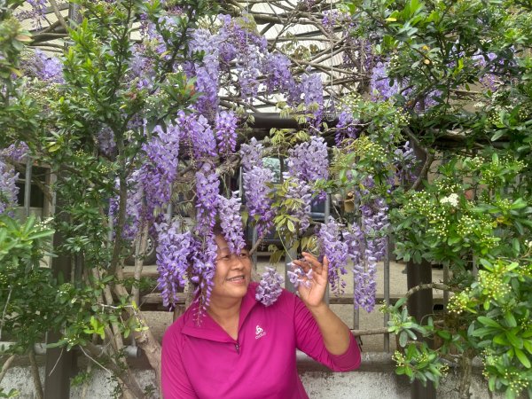 月眉山、海鼠山、生毛樹山、野薑花步道、進學古道3020780