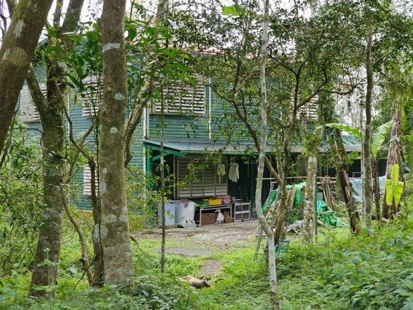 初音山-小百岳#88-花蓮縣吉安鄉2726101