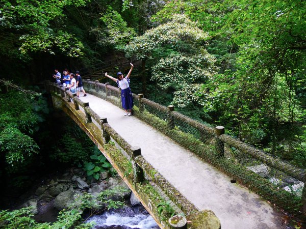 三峽滿月圓國家森林步道1053633