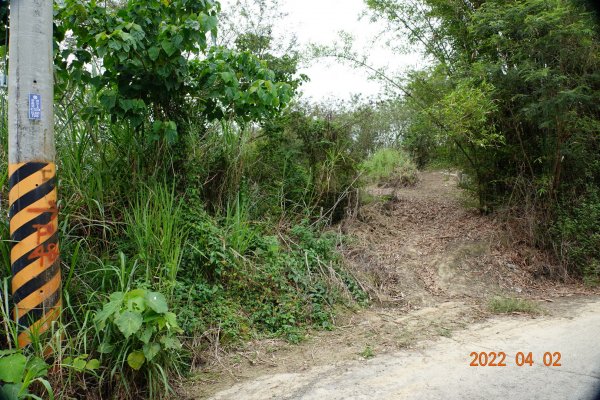 臺南 關廟 大潭山1663569