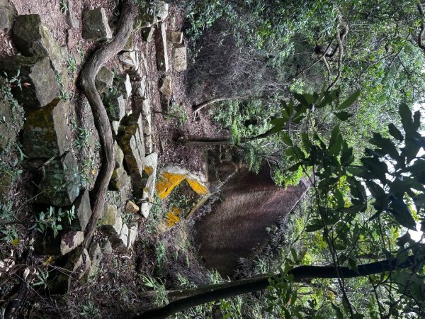 內湖金面山2811750