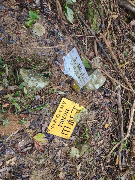 20241208上坪登五指山2683656