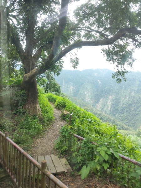 阿里山森林小火車2865045