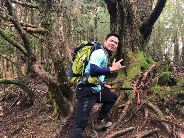 郡大山.望鄉山.臺中花博【給自己一份難忘569153