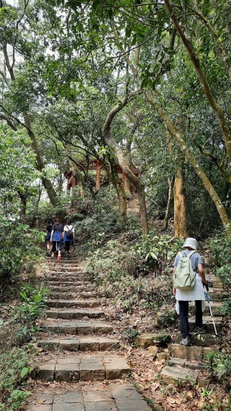 《苗栗》鳴鳳古道｜樟之細路古道巡禮202104021330632