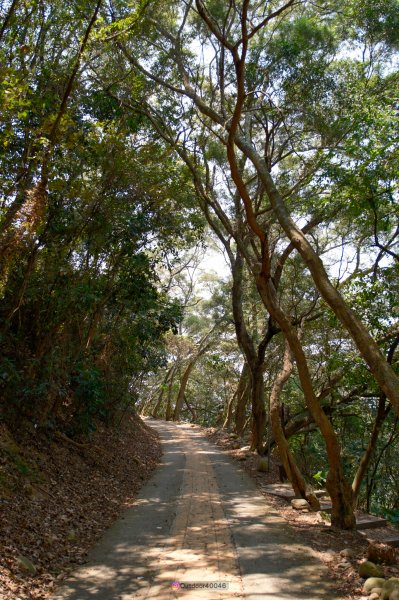 田中大小劍連走無名山2499270