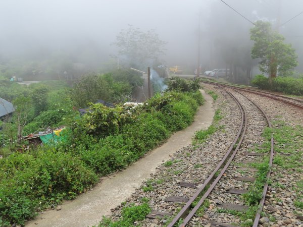 寧靜的小山村:水社寮973315