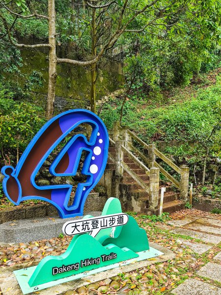 大坑4號步道3070836