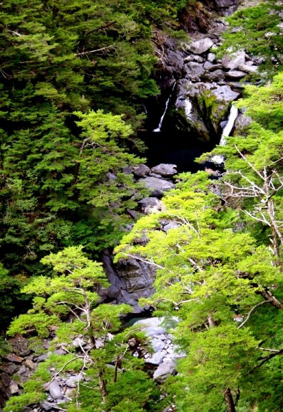 山風15度C吹拂 ~ 合歡溪 步道1551783