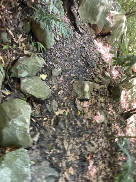 東卯山1750905